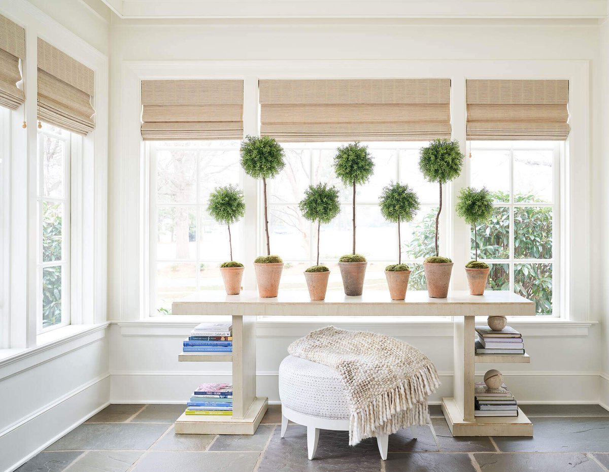 Sunroom with potted plants and natural light in a custom Greensboro remodel by Wolfe Homes
